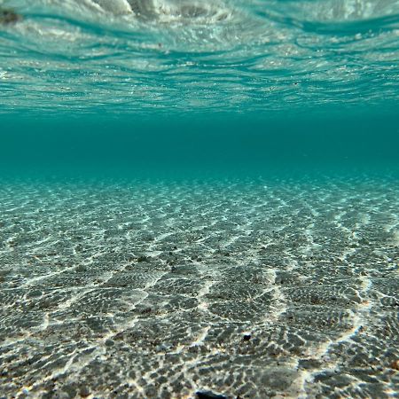 Il Canaletto Apartments Porto Cesareo Eksteriør billede