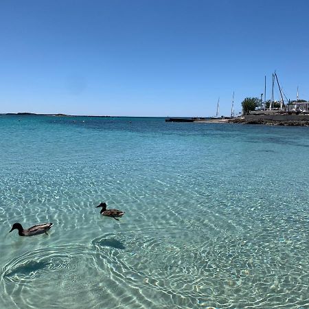 Il Canaletto Apartments Porto Cesareo Eksteriør billede