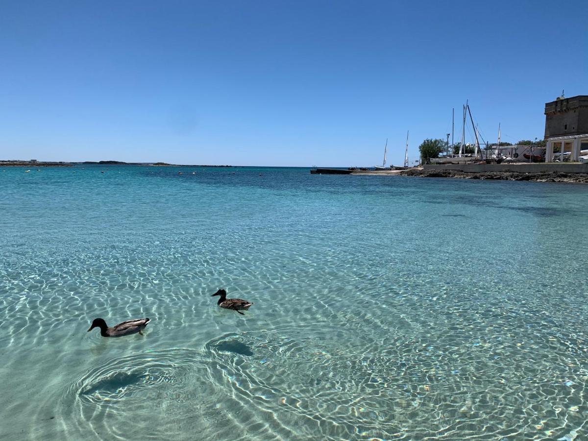 Il Canaletto Apartments Porto Cesareo Eksteriør billede